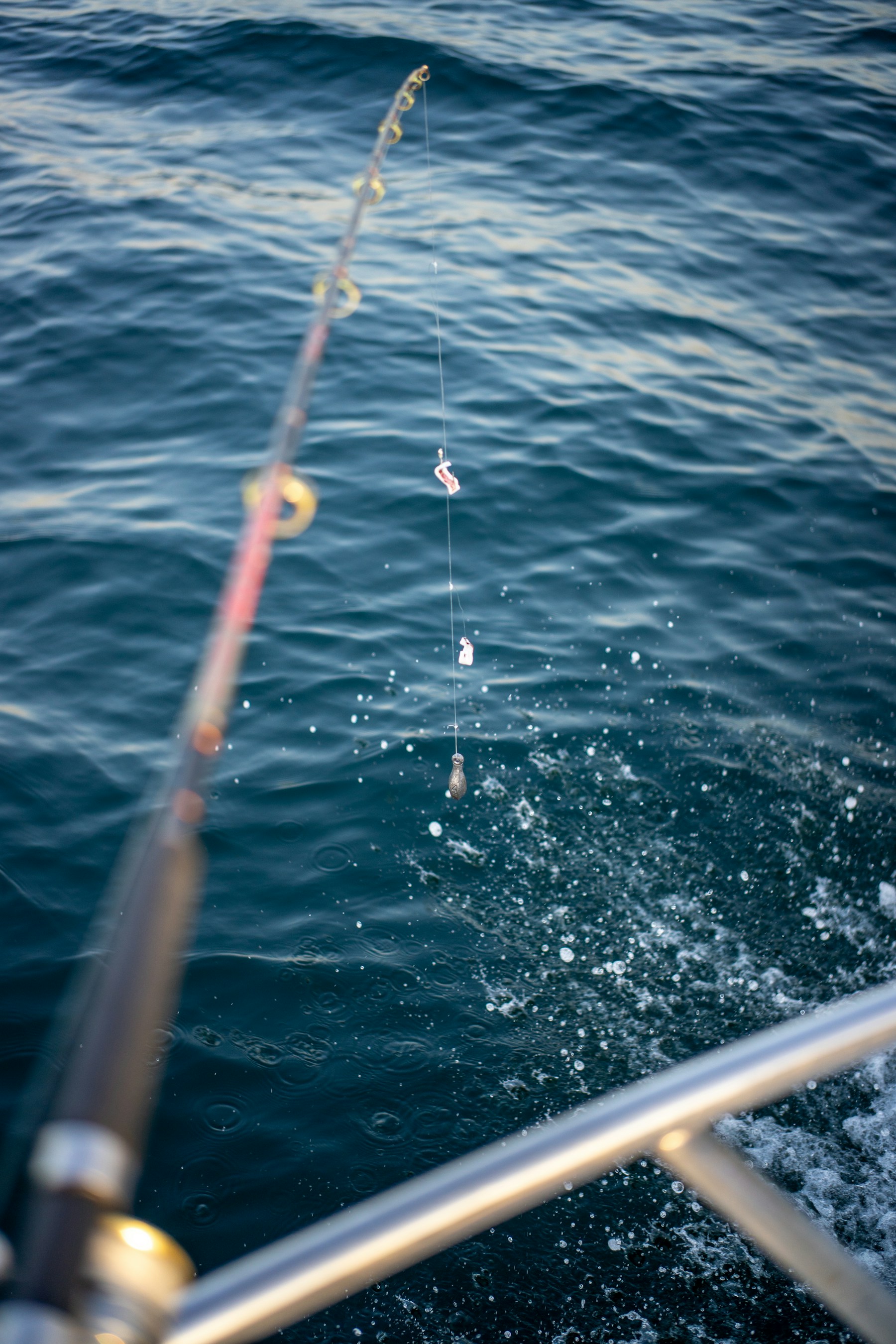 Fishing rods over blue water. Illustrative sea-fishing photograph.